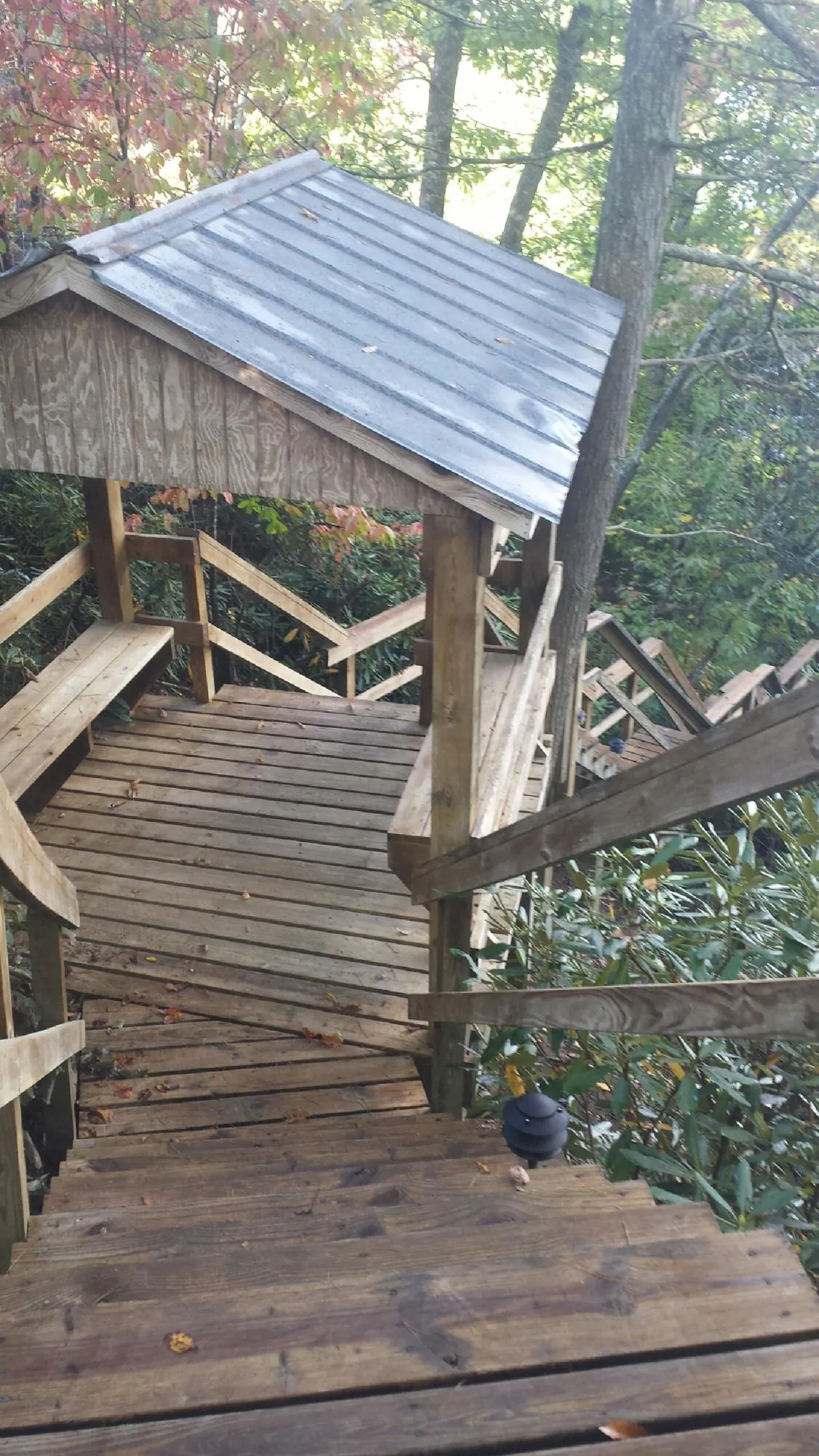 Metal roofed shelter over wooden steps on a wooded walkway — Skylight Repair & Installation work by our crew in Alsea