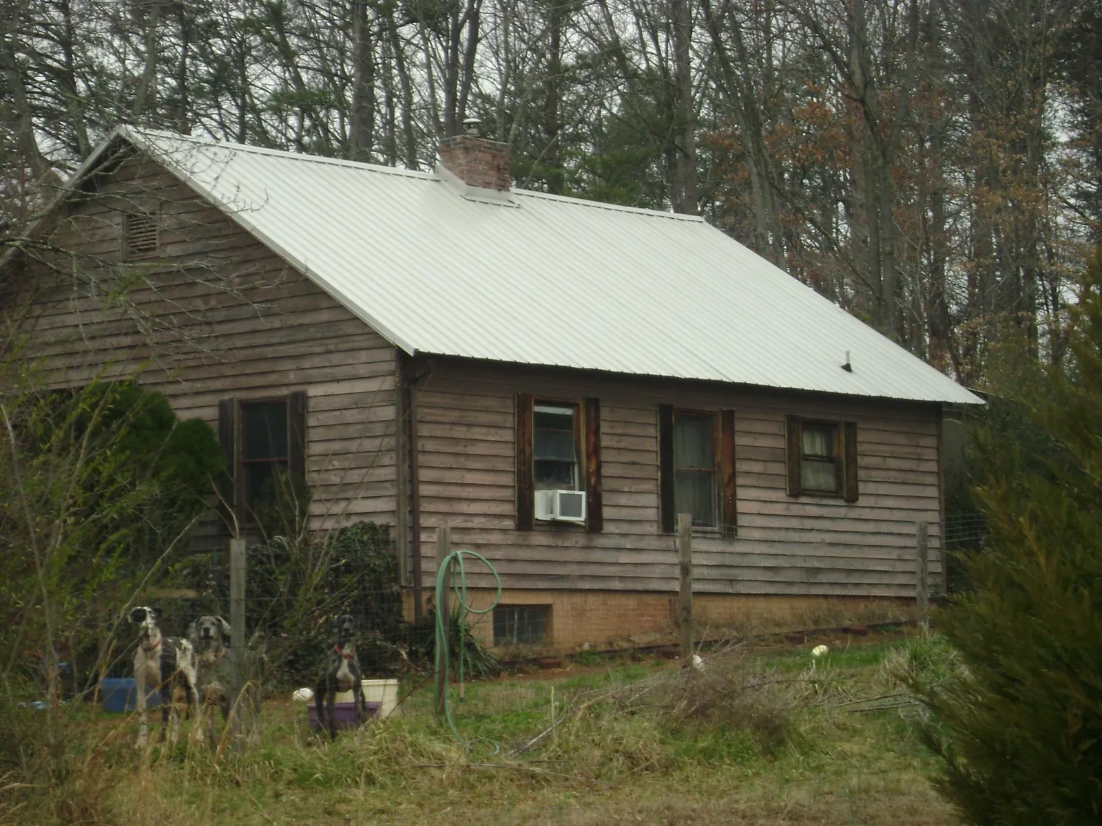 White metal roof on an old wood sided farmhouse, from a Metal Roof Installation job in Alsea